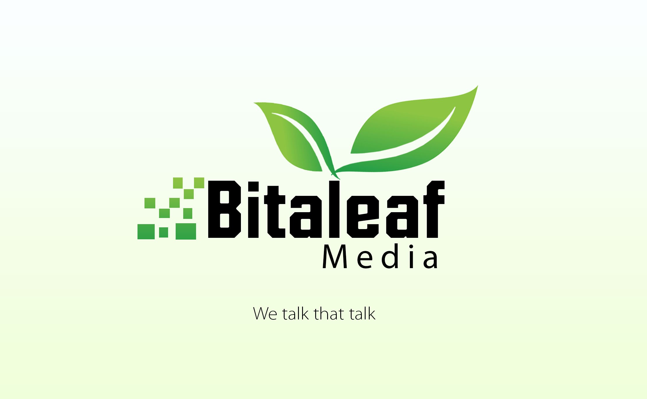 Bitaleaf Media - Music Promotion Blog