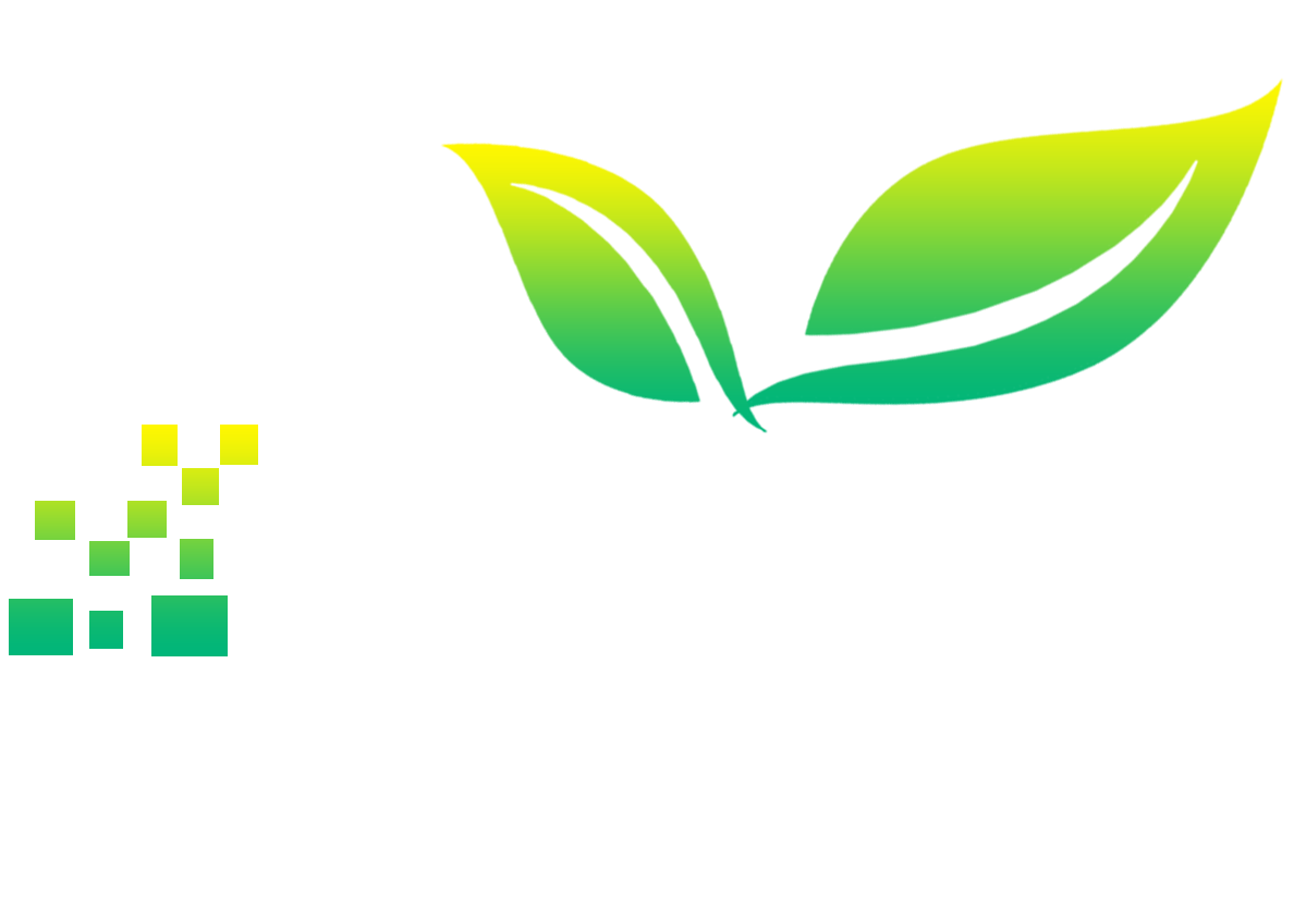 Bitalief Media